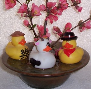 Photo of three peculiar-looking rubber ducks swimming in a flower bowl