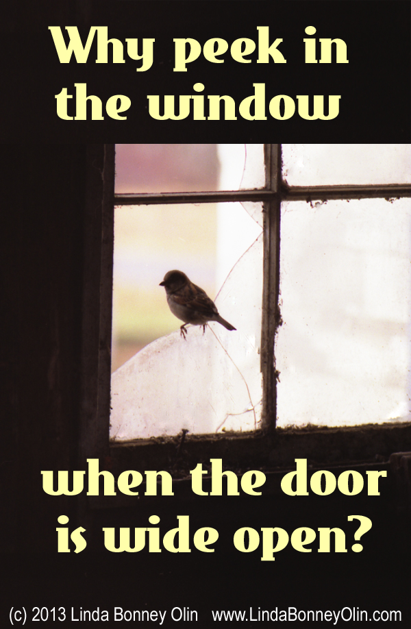 Poster of a Sparrow Perched on a Window , asking Why peek in the window when the door is wide open?