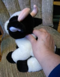 Stuffed cow: nabbing her nape